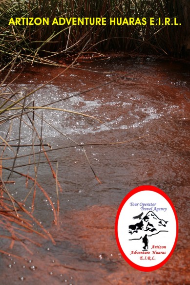 AGUAS MINERAL DE PUMAPAMPA